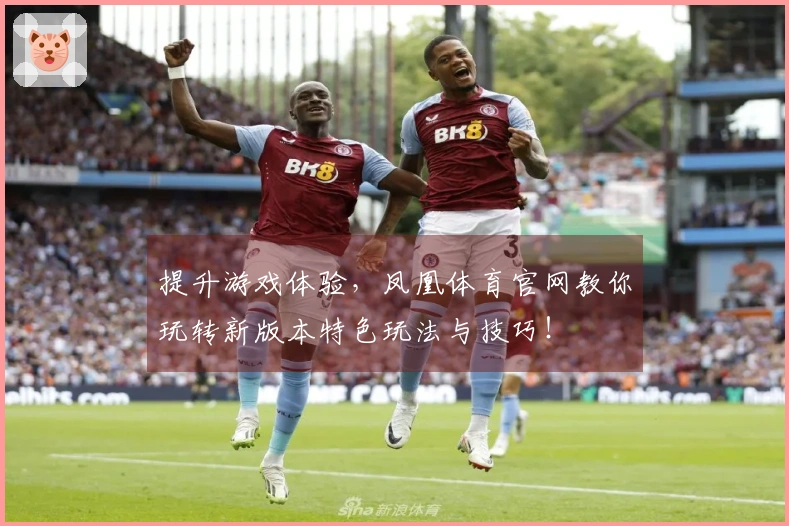提升游戏体验，凤凰体育官网教你玩转新版本特色玩法与技巧！