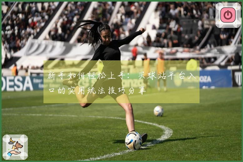 新手如何轻松上手：买球站平台入口的实用玩法技巧分享
