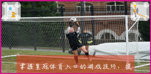 掌握皇冠体育入口的游戏技巧，提升你的竞技表现与乐趣体验