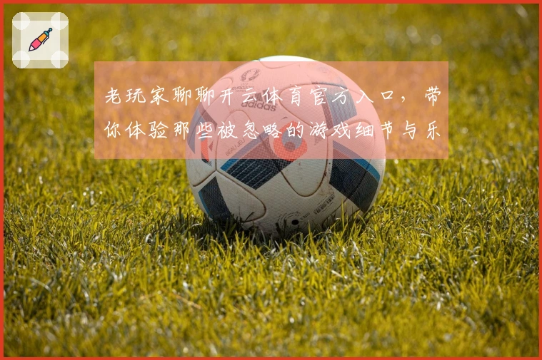 老玩家聊聊开云体育官方入口，带你体验那些被忽略的游戏细节与乐趣