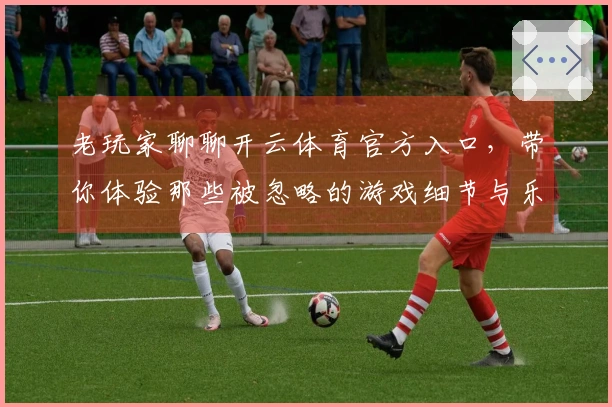老玩家聊聊开云体育官方入口，带你体验那些被忽略的游戏细节与乐趣