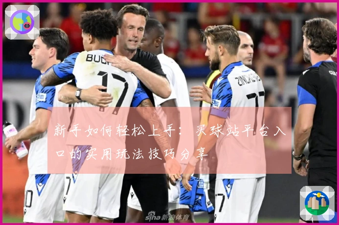 新手如何轻松上手：买球站平台入口的实用玩法技巧分享